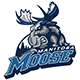 Manitoba Moose