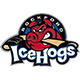 Rockford IceHogs