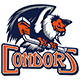 Condors