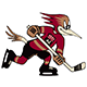 Tucson Roadrunners