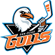 San Diego Gulls